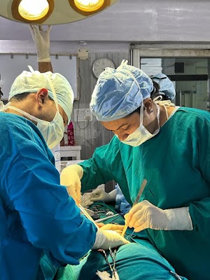 Dr. Dippy Aggarwal