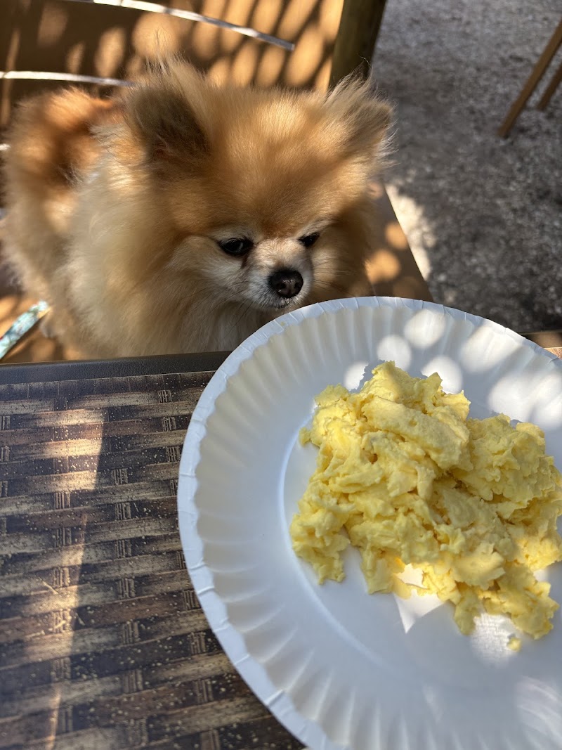 Sweet Sage Cafe photo 3