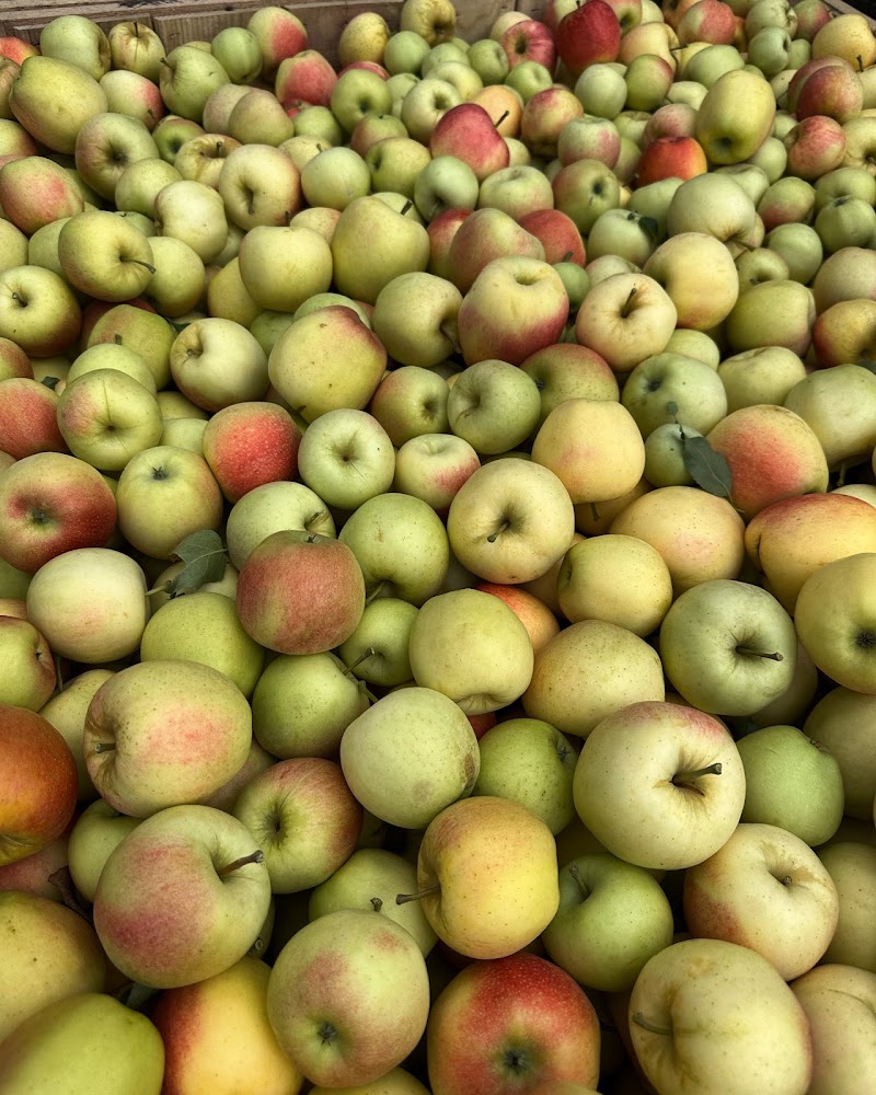 Frecon Farms photo 2
