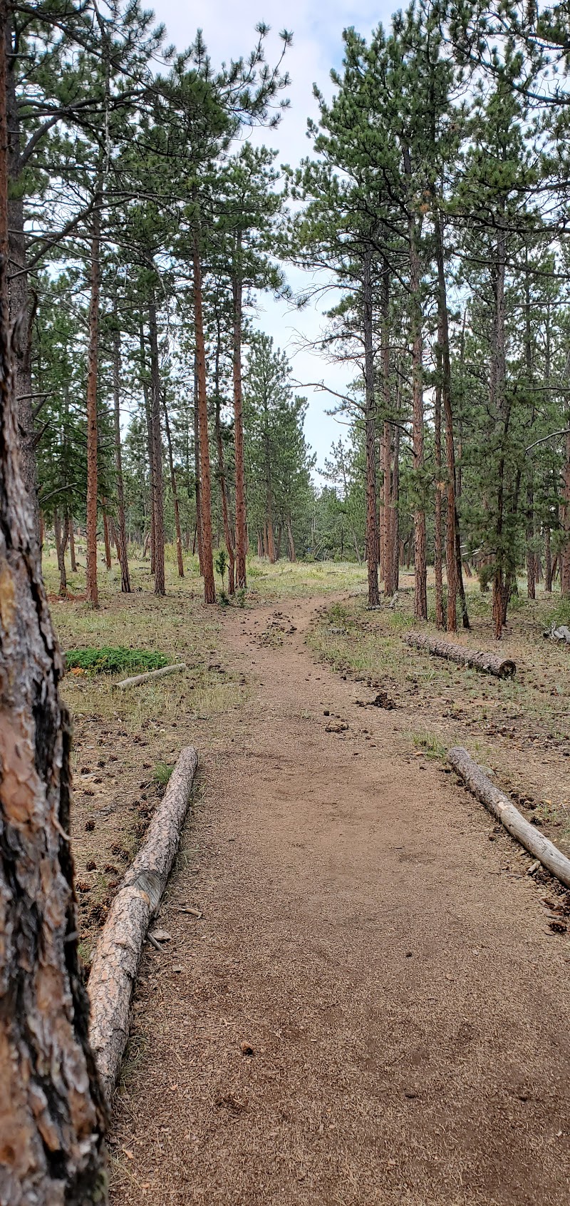 Sundance Trail Disc Golf Course photo 4