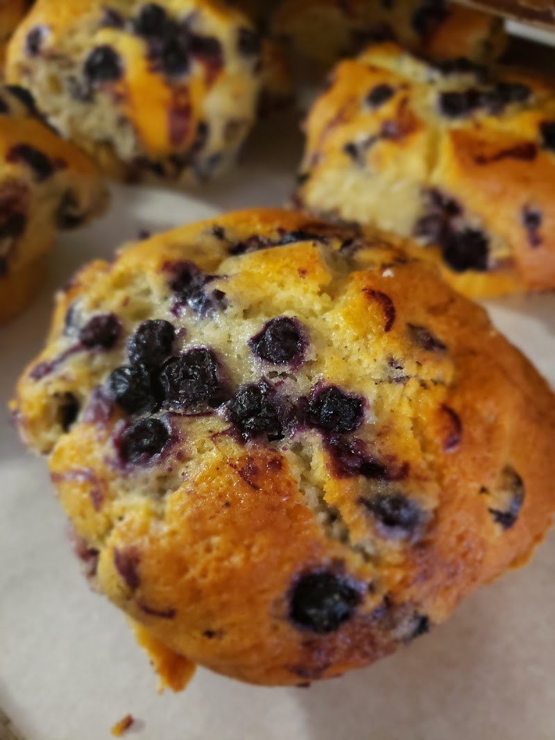 Woolfie's Coffee and Breakfast Bakery photo 2