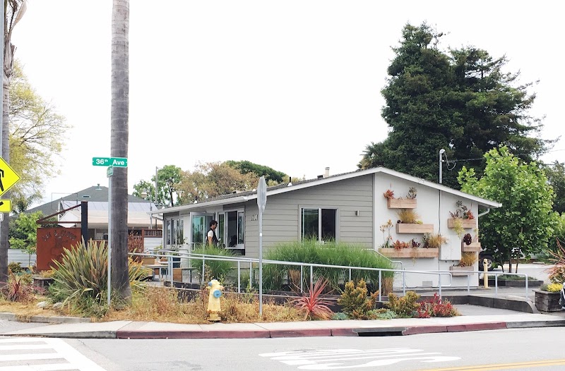 Cat & Cloud Coffee photo 3