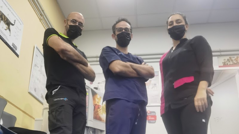 MECOVET CLINICA VETERINARIA