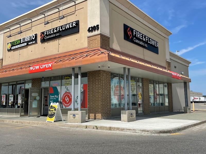 Ashario Cannabis Dispensary Weed Store - North York - 1111A Finch Ave West Unit 1 - M3J 2P7 - Vaughan & Richmond Hill