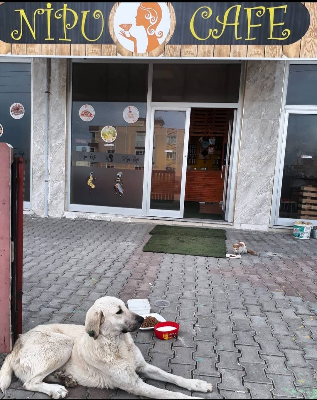 Nipu Vitamin Evi mekanı