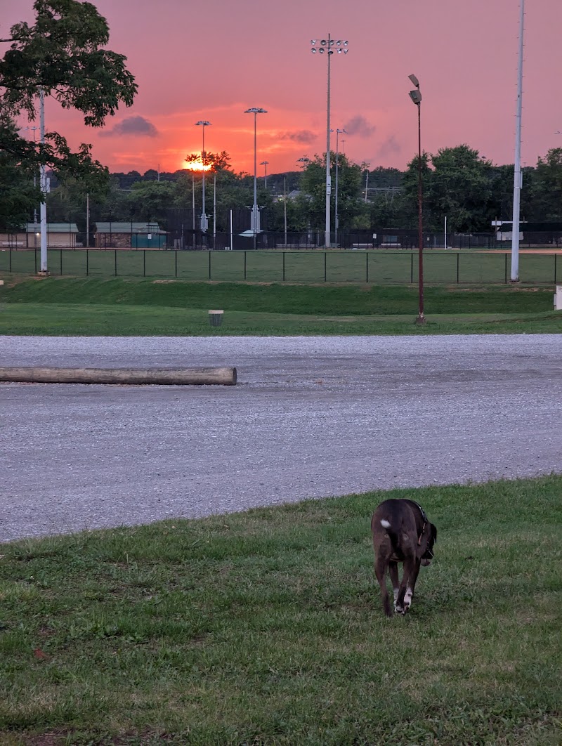 Frank Lorino Park photo 4