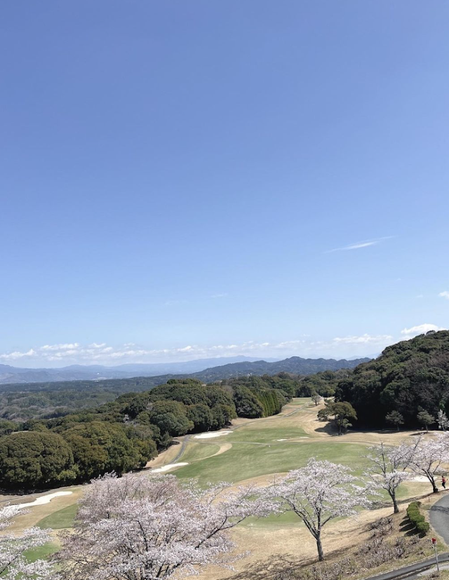 Forest Nankan Golf Club - Photo 6