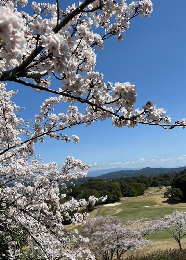 Forest Nankan Golf Club - Photo 10