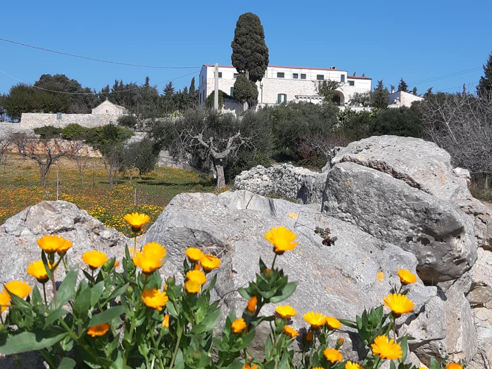 Vedaguru Yoga and Cooking Retreats Puglia Italy — 3