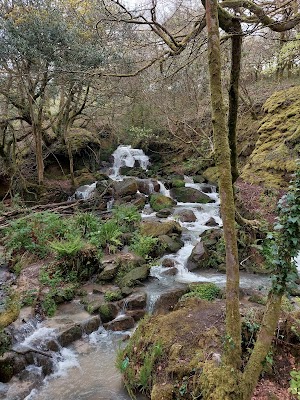 Tregargus Waterfall