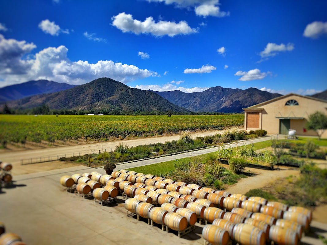 Viñedos Veramonte Altos de Casa Blanca