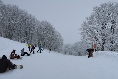 Akakura Kanko Resort Ski Area - 4