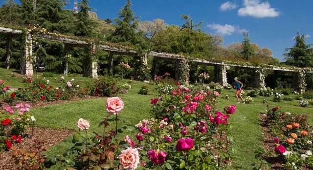 Parque de Cervantes fotoğraf 1