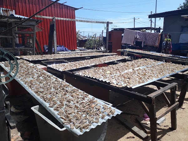 Keropok Lekor Dapur Kayu Din Tanjong - Photo 1