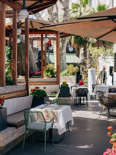 Nuz Restaurant | Sultanahmet Garden Restaurant - Restoran