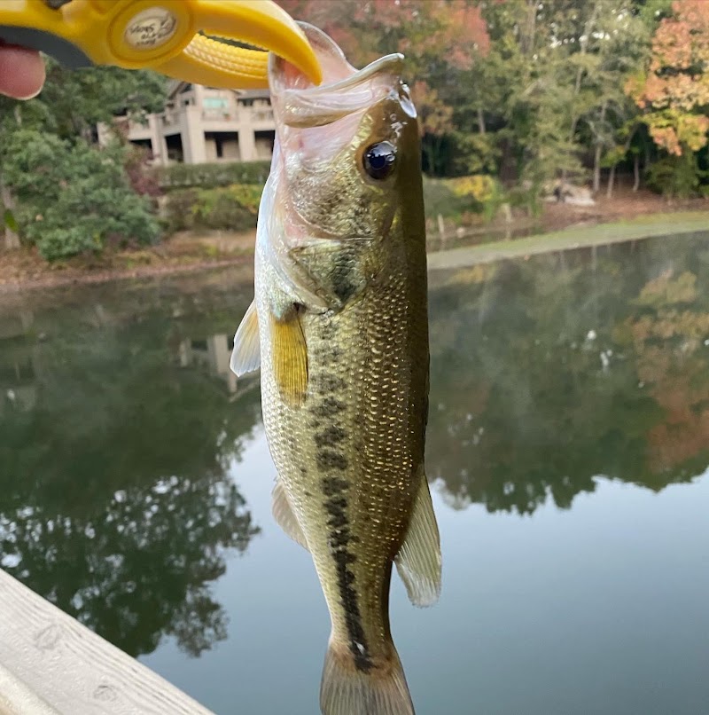 Rusty Hooks Bait and Tackle, LLC photo