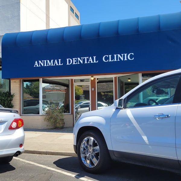 Animal Dental Clinic