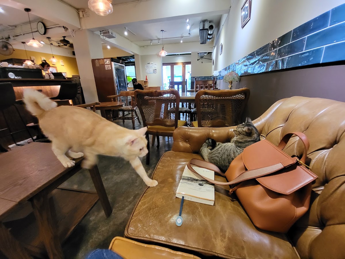 ハーフ珈琲（Hafu coffee roaster)