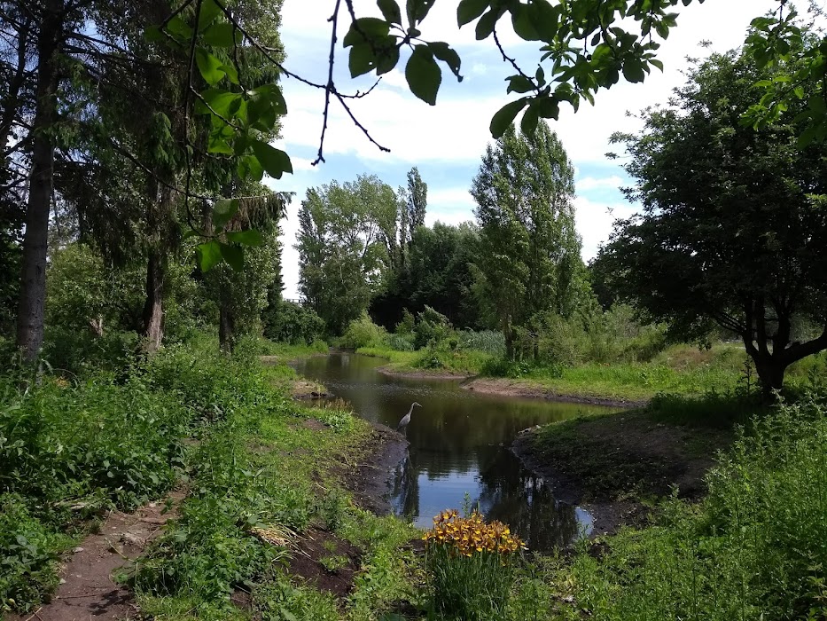 Essenburgpark fotoğraf 1