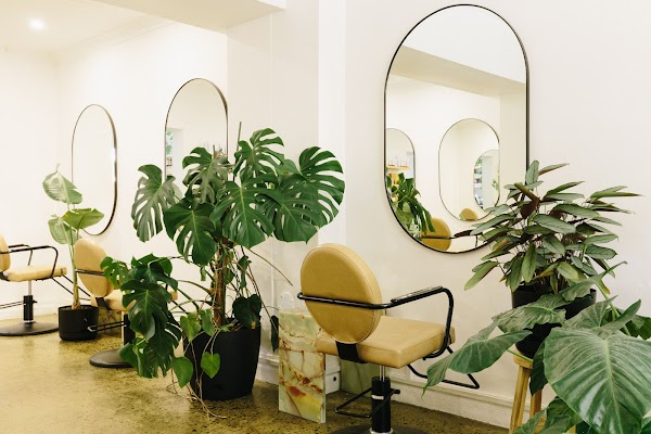 Audrey and Him photo 3