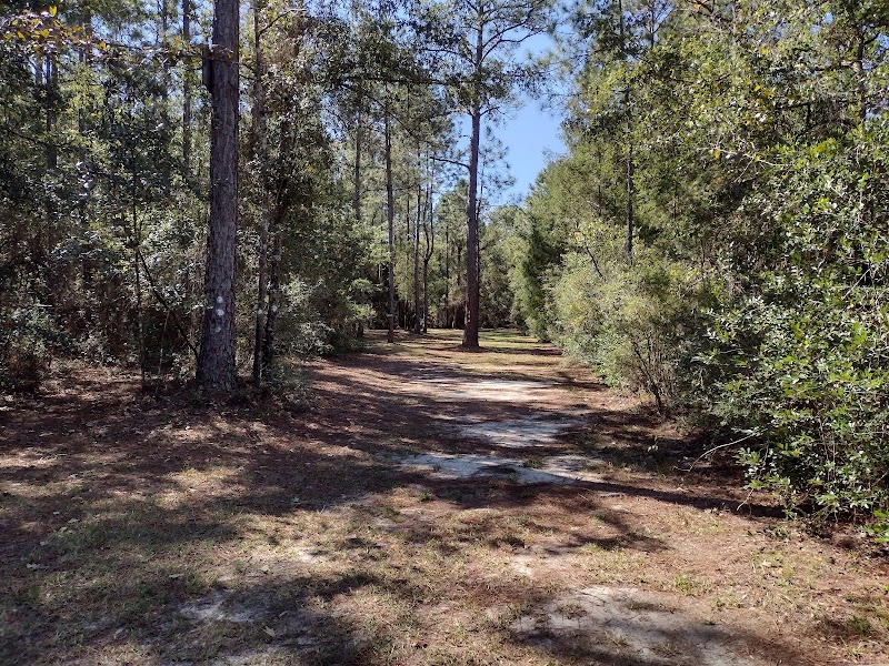 Pirates Cove Disc Golf Course photo 4