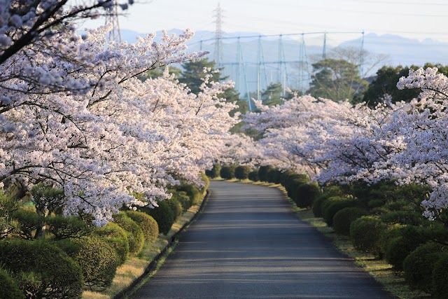 Arima Country Club - Photo 1