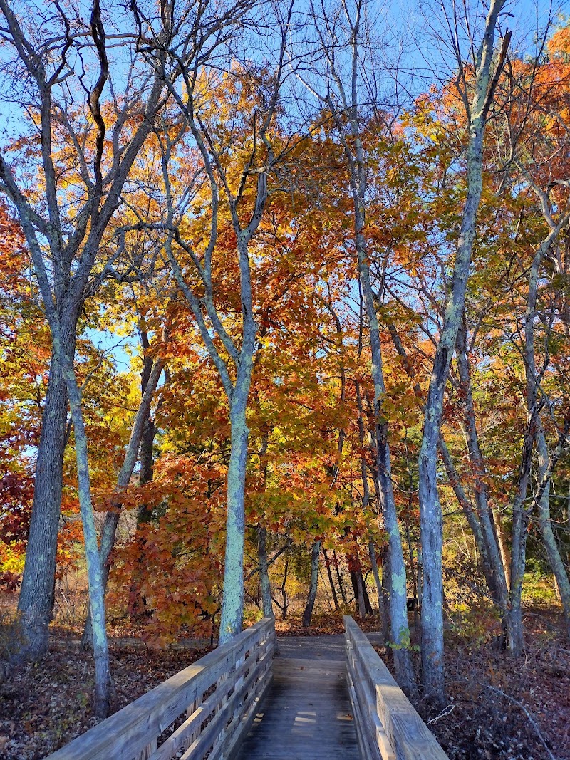 Great Meadows National Wildlife Refuge - Photo 4