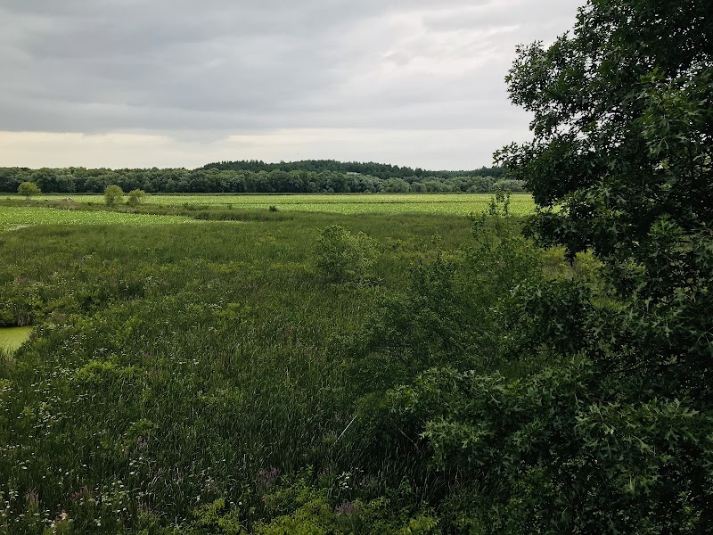 Great Meadows National Wildlife Refuge - Photo 3
