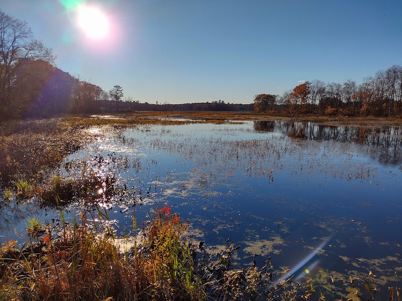 Great Meadows National Wildlife Refuge - Photo 1