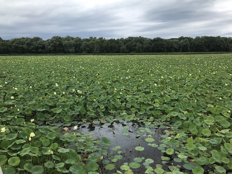 Great Meadows National Wildlife Refuge - Photo 5