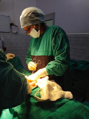 Dr Shubhra Gynae care and sonography - Image 2