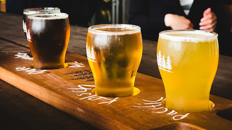 4 Pines Brewpub Manly photo 7