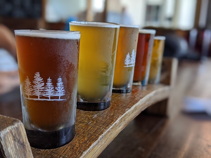 4 Pines Brewpub Manly photo 4