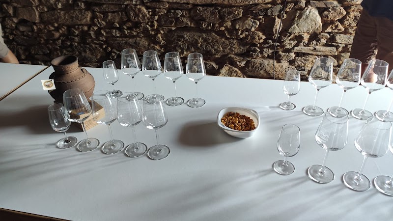 Bodega Val da Lenda photo 4