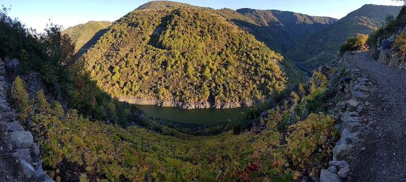 Bodega Val da Lenda photo 1