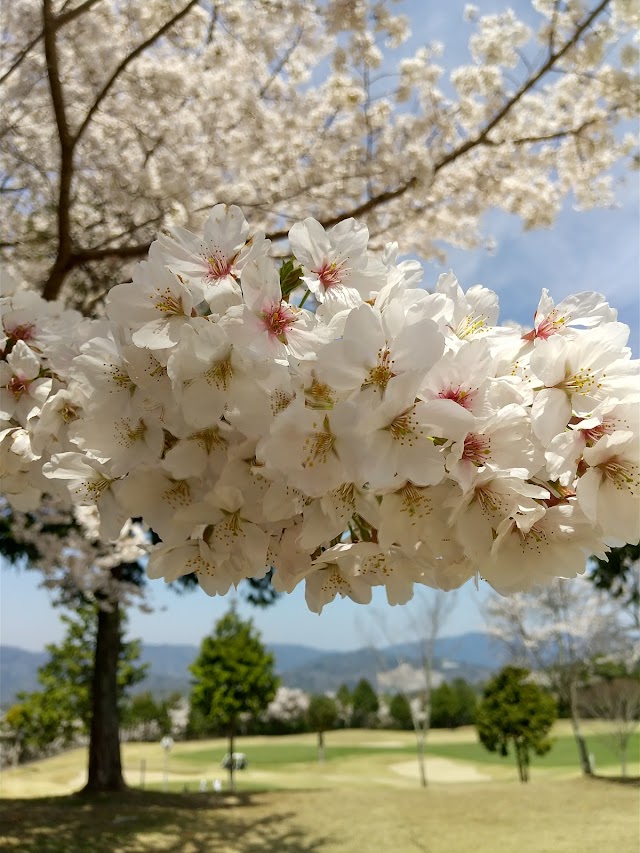 Kamo Country Club (Kyoto Prefecture) - Photo 10