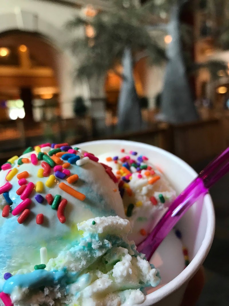 Gator Coffee Co. photo 3