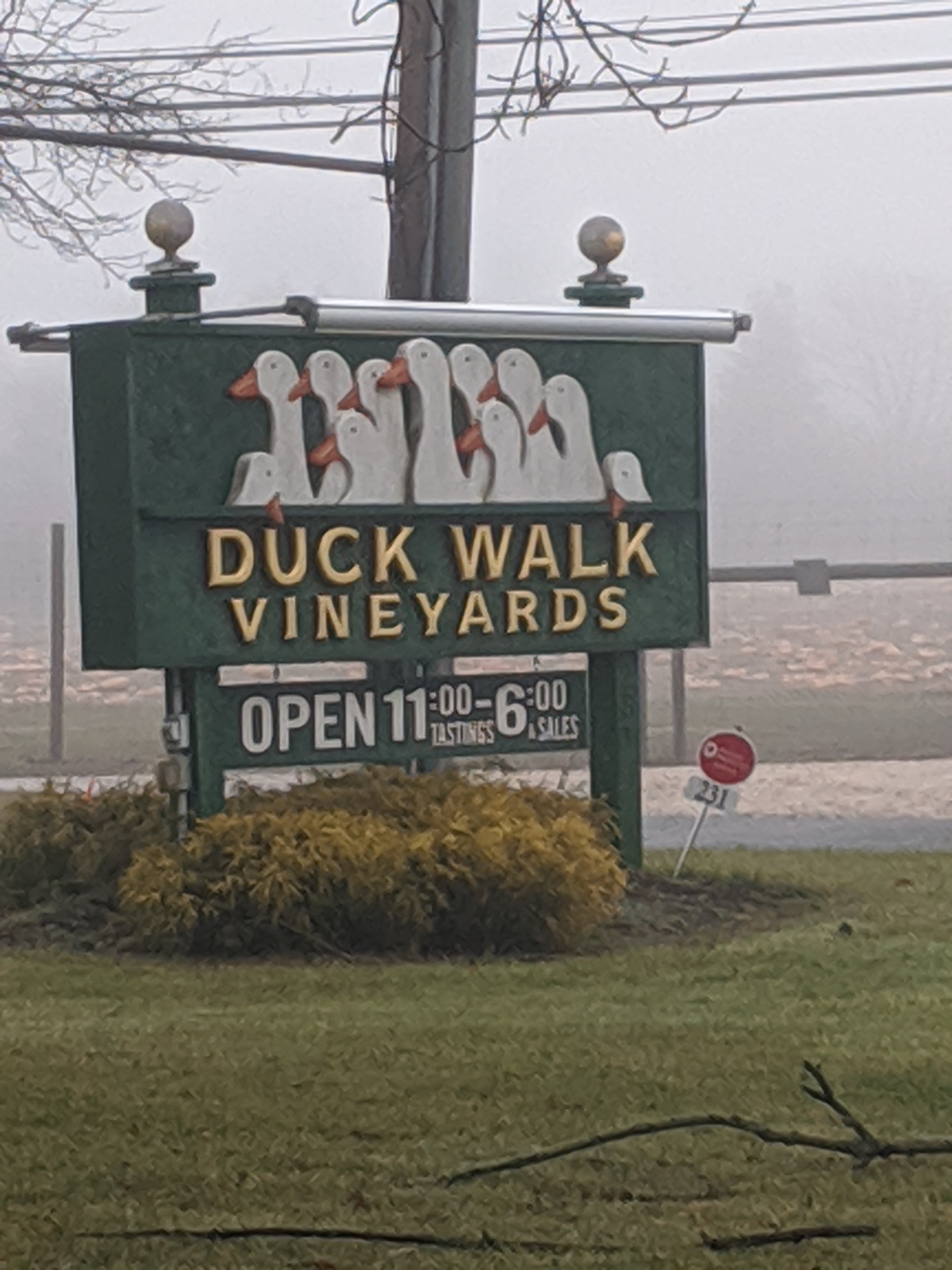 Duck Walk Vineyard