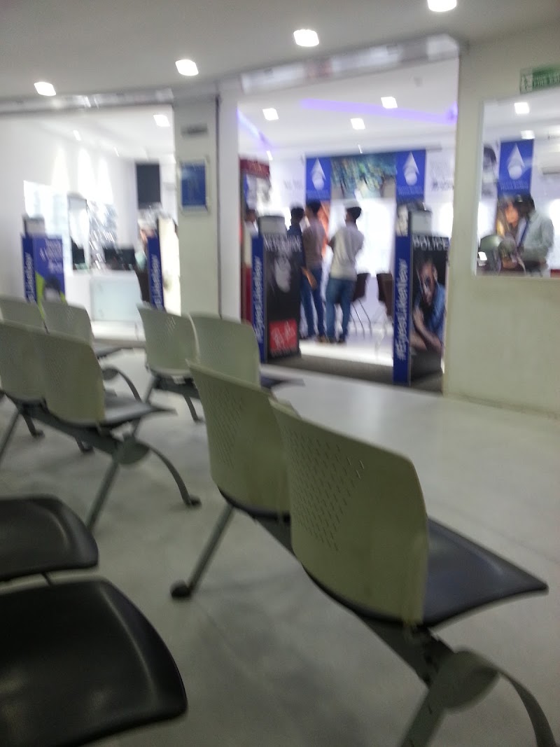 Gallery 5