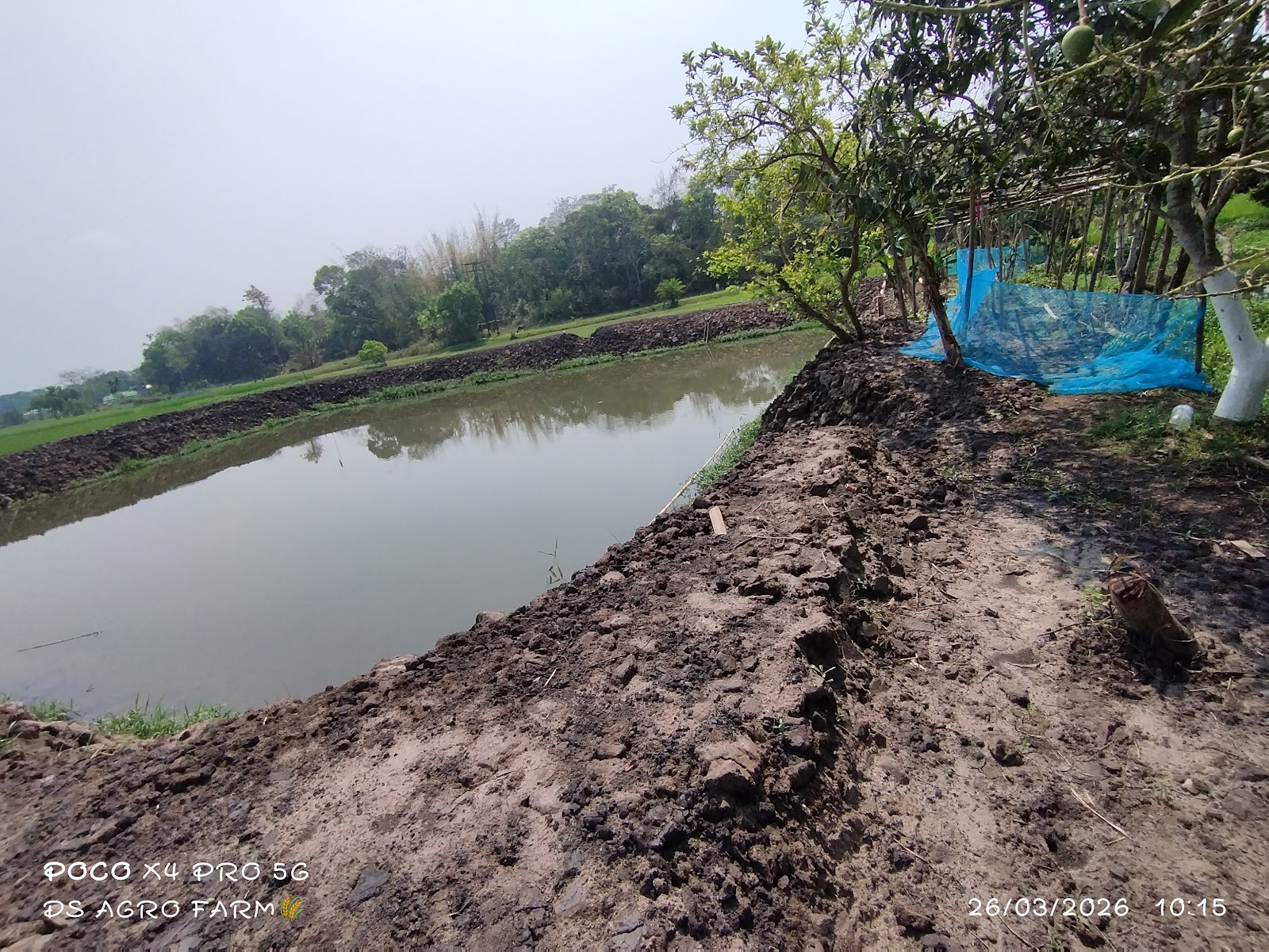 DS Fish Farm photo 2