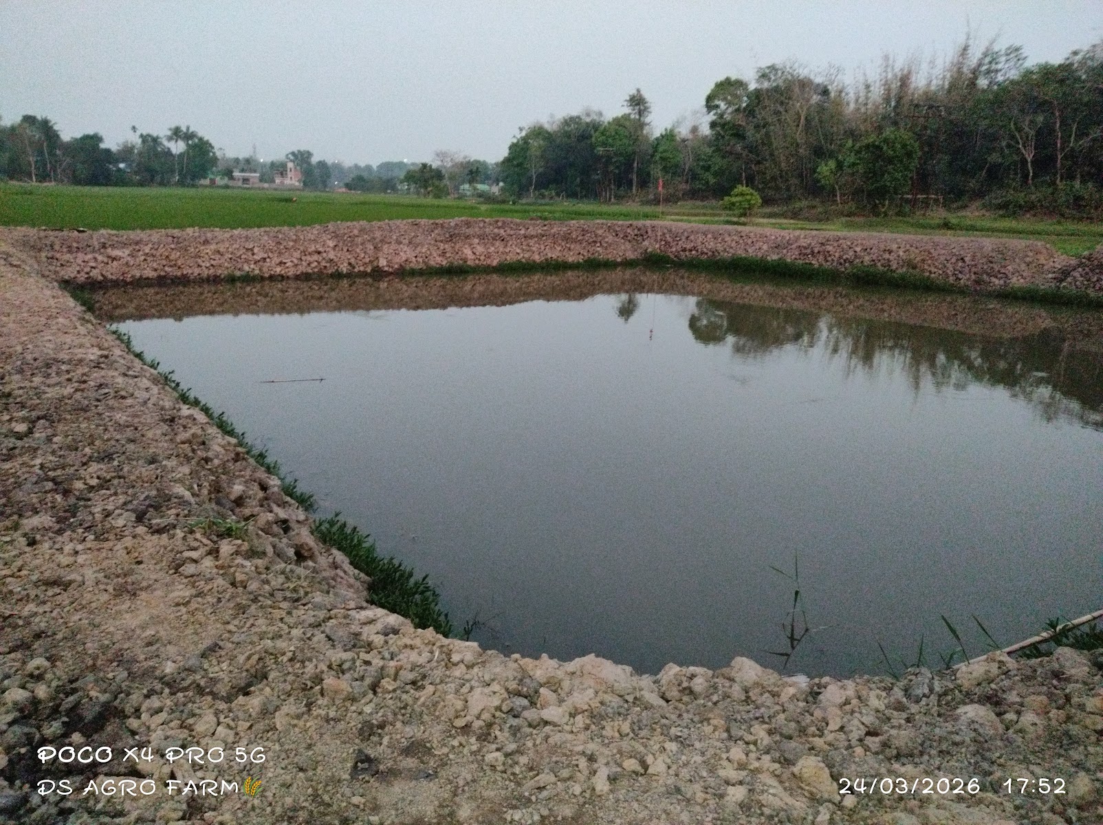 DS Fish Farm photo 4
