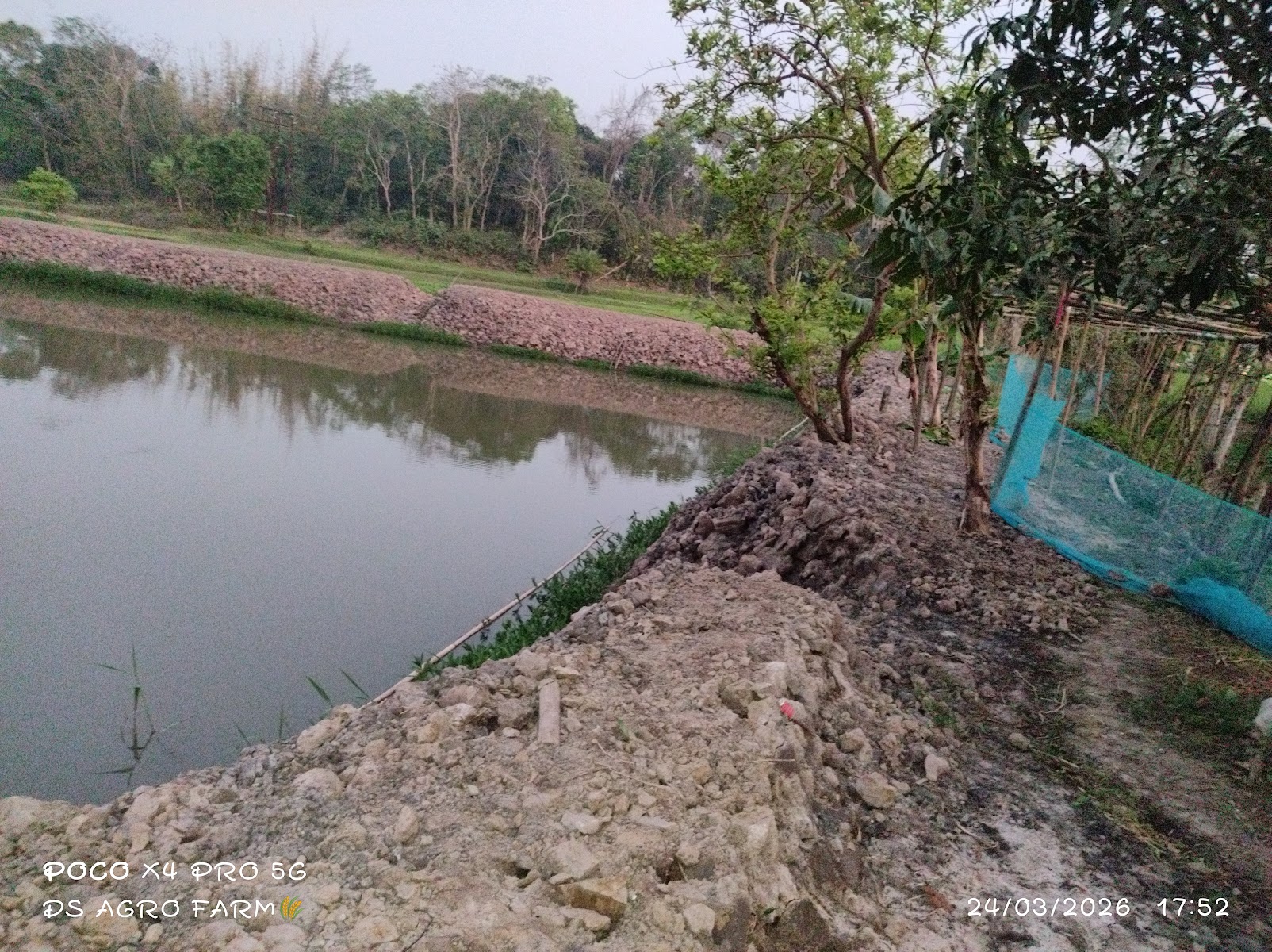 DS Fish Farm photo 3