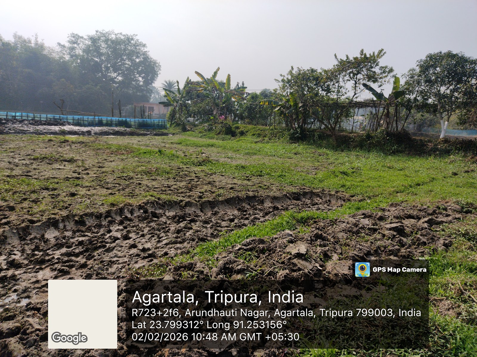 DS Fish Farm photo 6