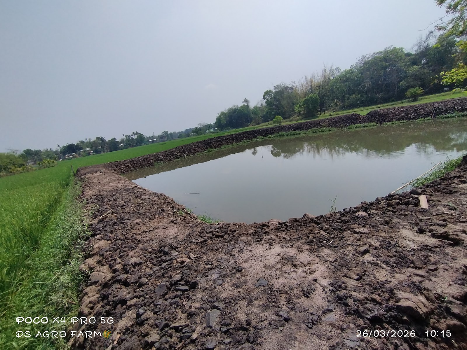 DS Fish Farm photo 5