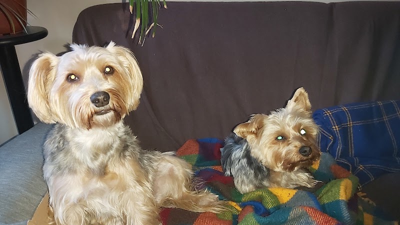 Clínica Veterinaria Parque Bruil