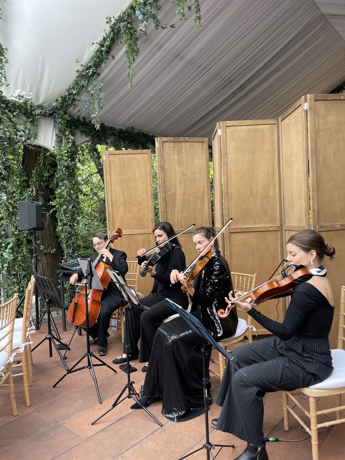 Velveteen Ensemble: Google Places image 2