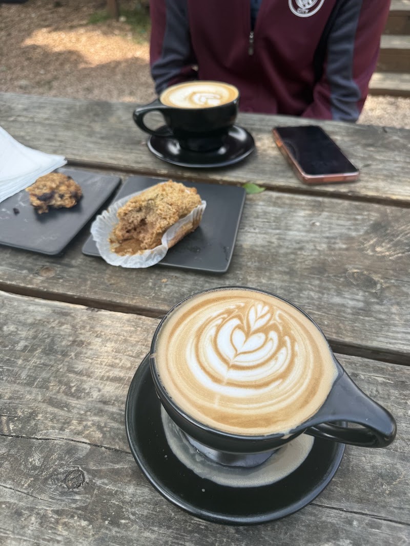 309 Coffee photo 3