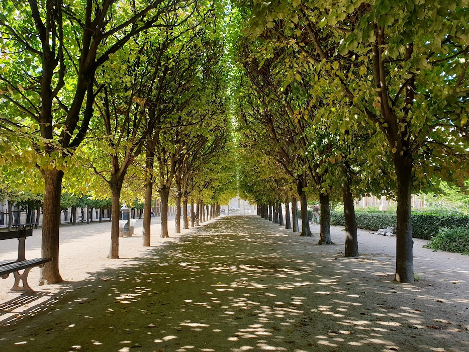 Jardin du Palais Royal fotoğraf 1