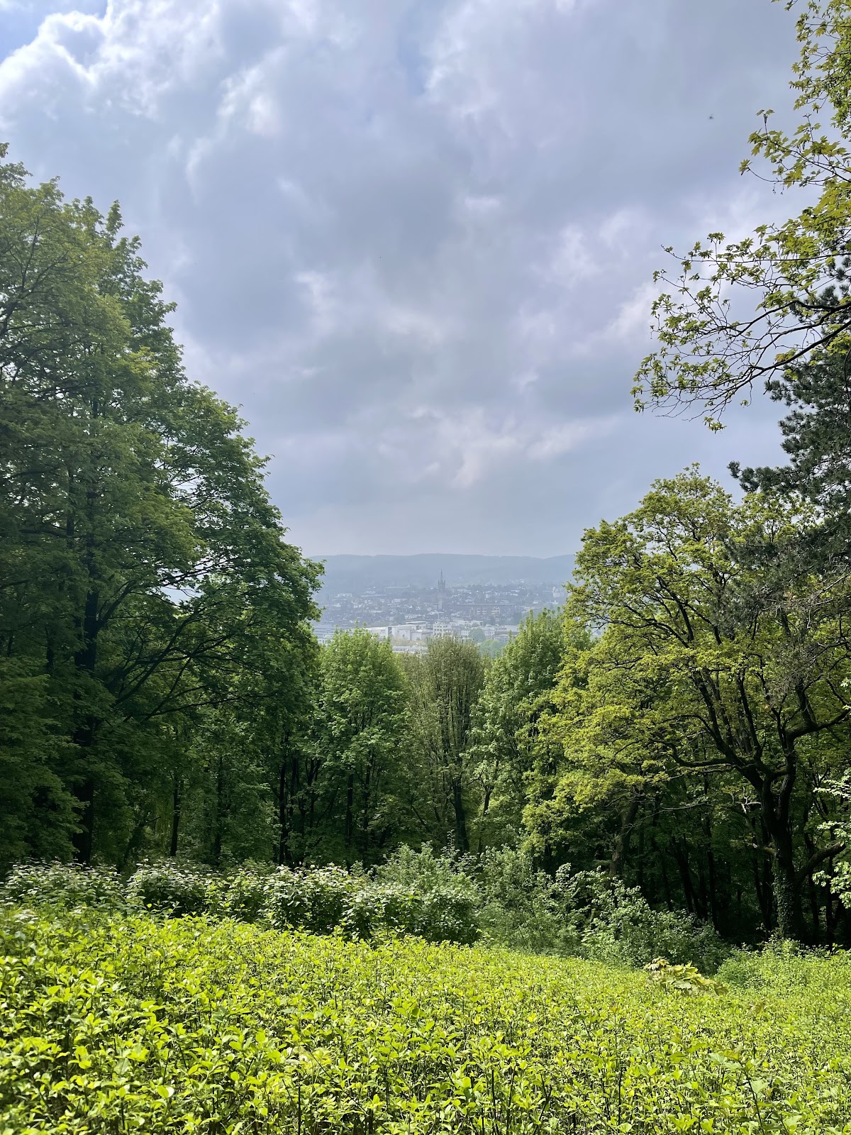 Lousberg
