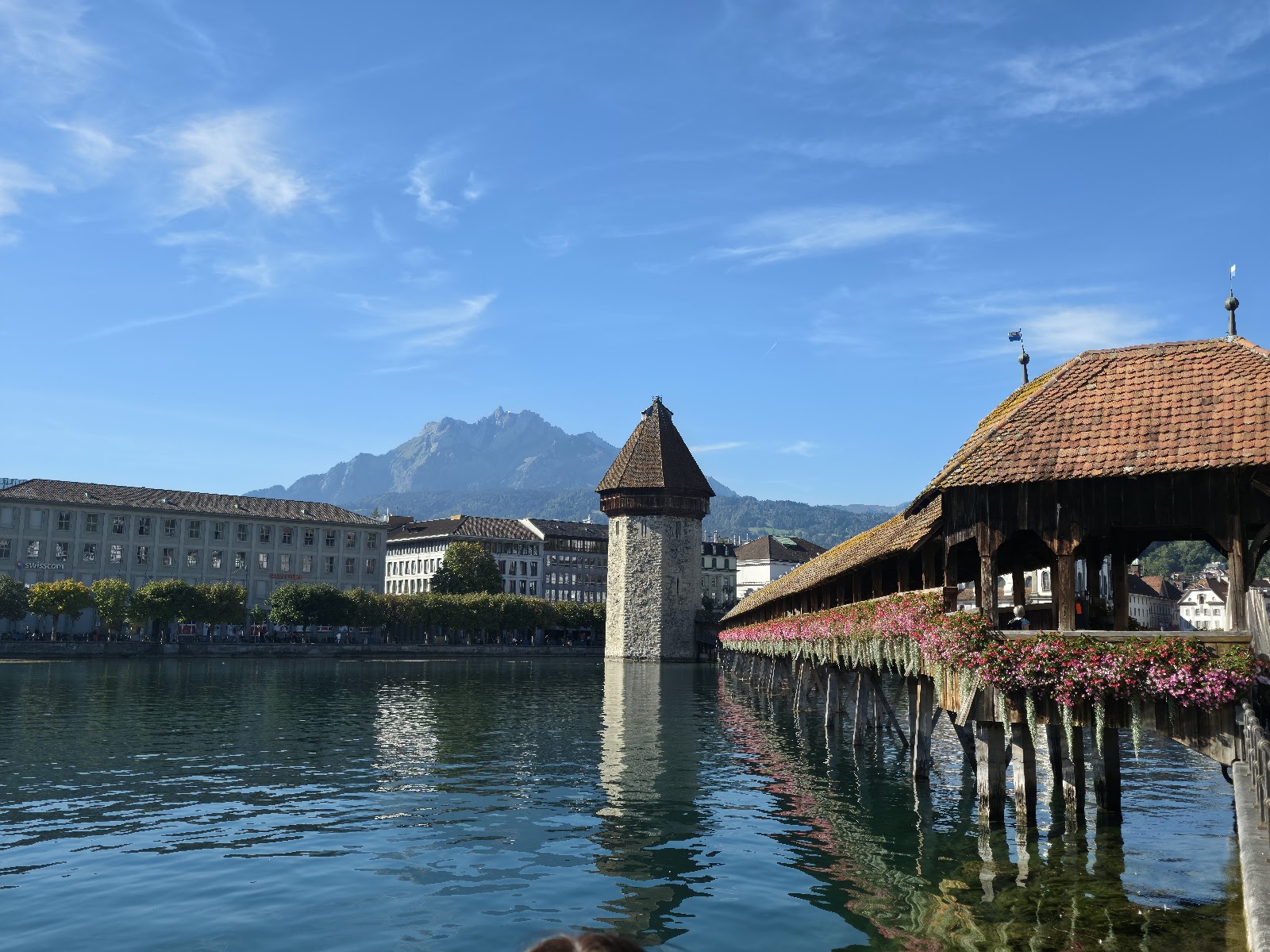 Best Dog-Friendly Hotels in Lucerne, Switzerland